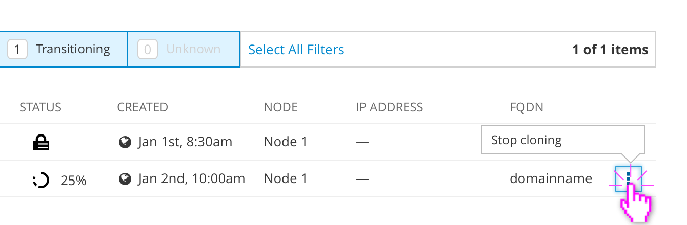 Clone VM Clone Options